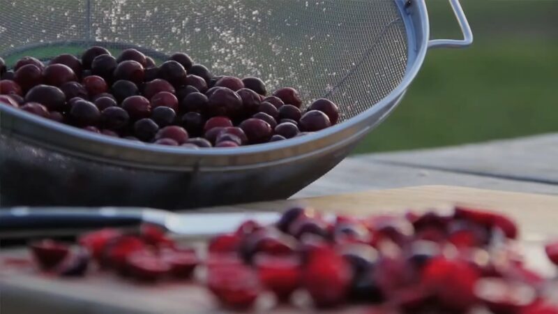 Native American Tradition and Cranberries