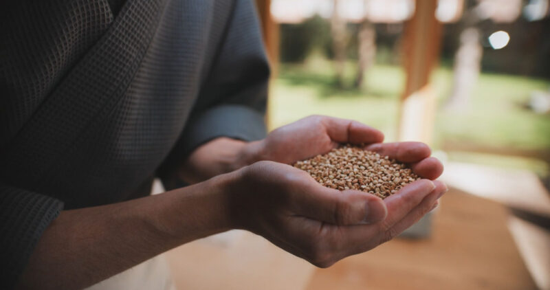 Seeds - Buckwheat