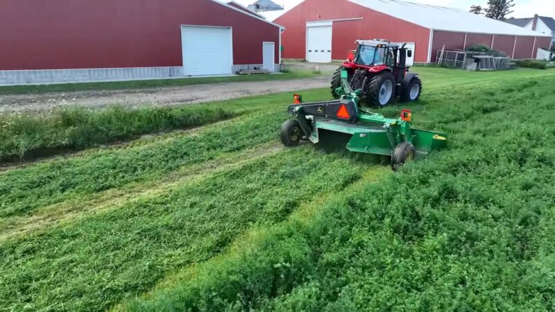The process of mowing hay