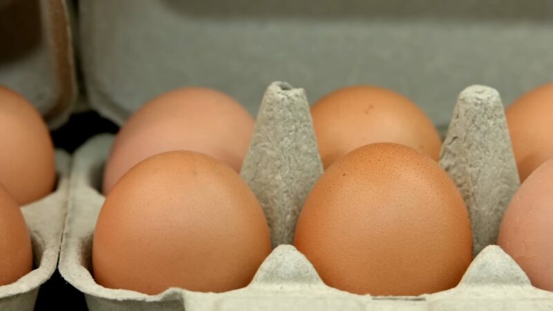 Eggs - Source of Protein