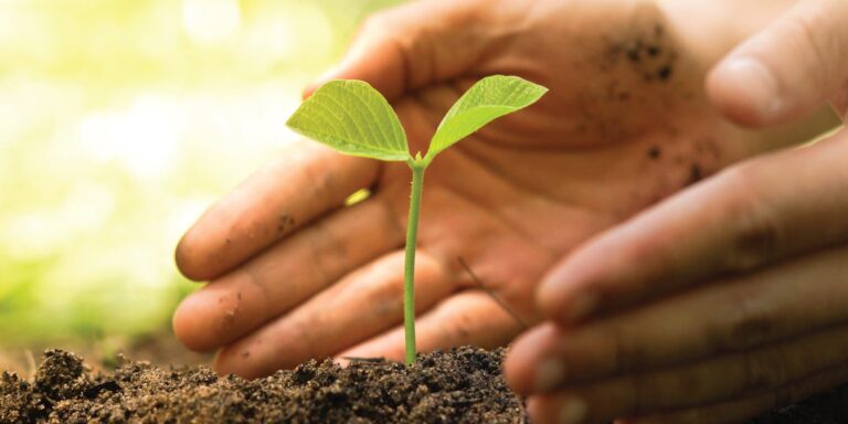 What is the Most Sustainable Method Of Food Production? - Sustainable ...